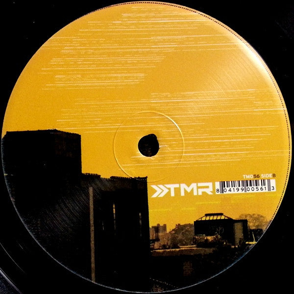 Anthony Nicholson : Necessary Phazes (2x12", Album)