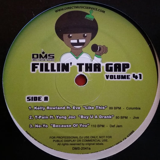 Various : Fillin' Tha Gap Volume 41 (12", Comp)