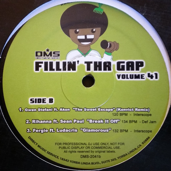 Various : Fillin' Tha Gap Volume 41 (12", Comp)