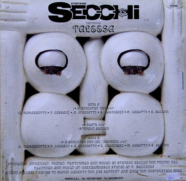 Stefano Secchi Featuring Taleesa : A Brighter Day (12")