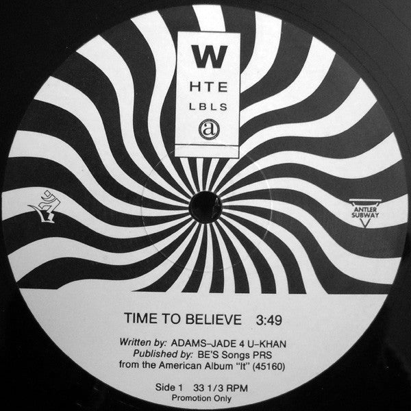 Digital Orgasm : Time To Believe (12", S/Sided, Promo)