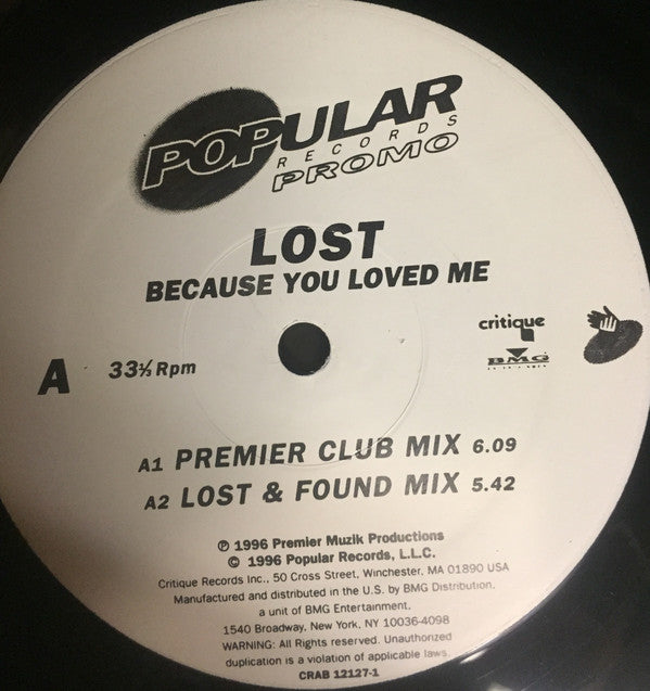 Lost (2) : Because You Loved Me (12", Promo)