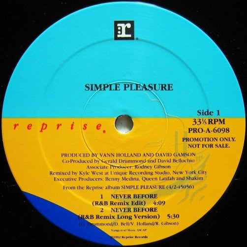Simple Pleasure : Never Before (12", Promo)