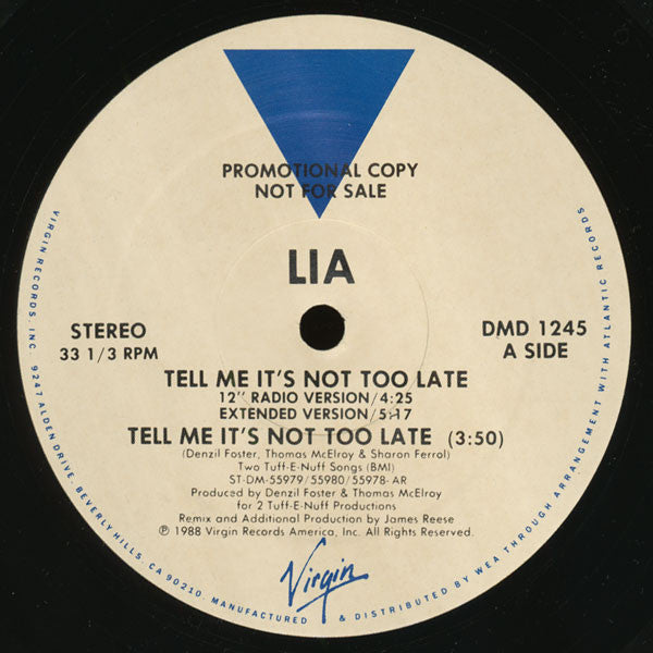 Lia Grant : Tell Me It's Not Too Late (12", Promo)
