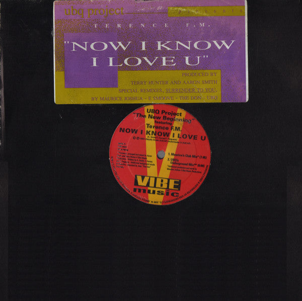 UBQ Project Featuring Terence FM : Now I Know I Love U (12")