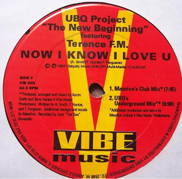 UBQ Project Featuring Terence FM : Now I Know I Love U (12")