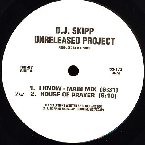 DJ Skipp : Unreleased Project (12")