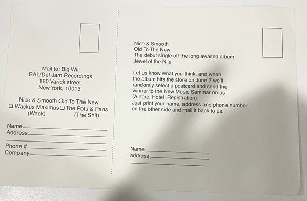 Nice & Smooth : Old To The New / Blunts (12", Promo)