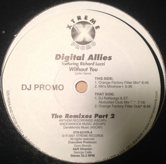 Digital Allies Featuring Richard Luzzi : Without You (12", Single, Promo)