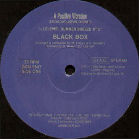 Black Box : A Positive Vibration (2x12")