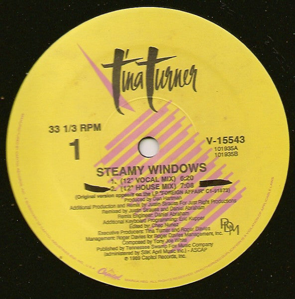 Tina Turner : Steamy Windows (12", Single, pic)