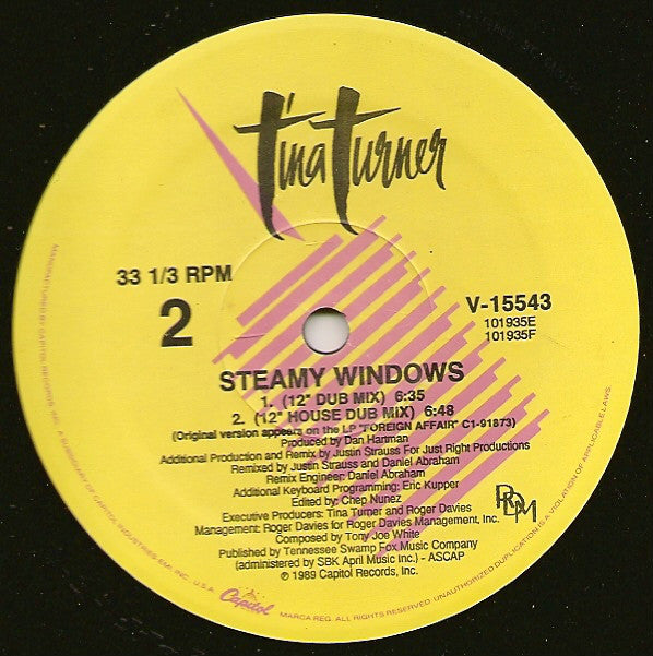 Tina Turner : Steamy Windows (12", Single, pic)