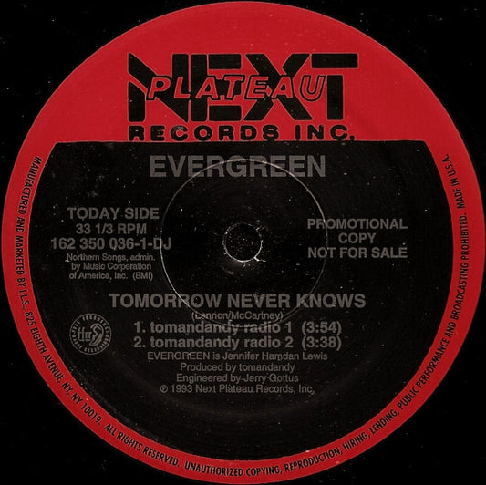 Evergreen (32) : Tomorrow Never Knows (12", Promo)
