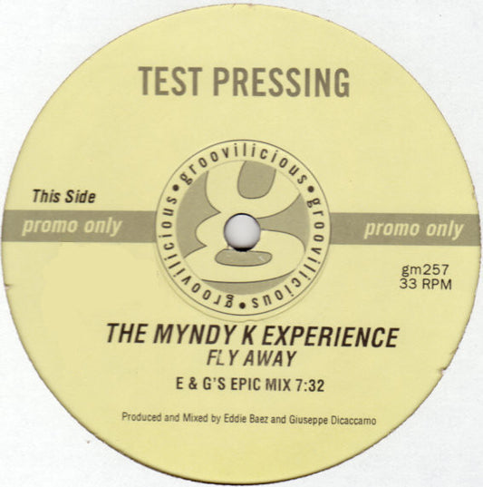 The Myndy K Experience : Fly Away (12", Promo, TP)