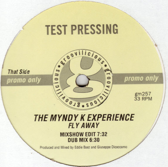 The Myndy K Experience : Fly Away (12", Promo, TP)