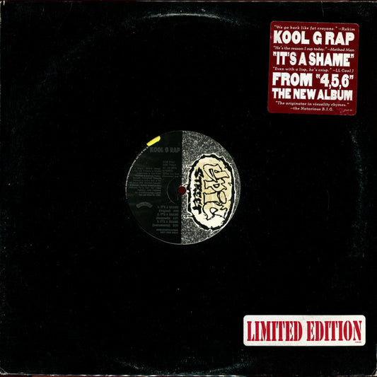 Kool G Rap : It's A Shame (12", Promo)