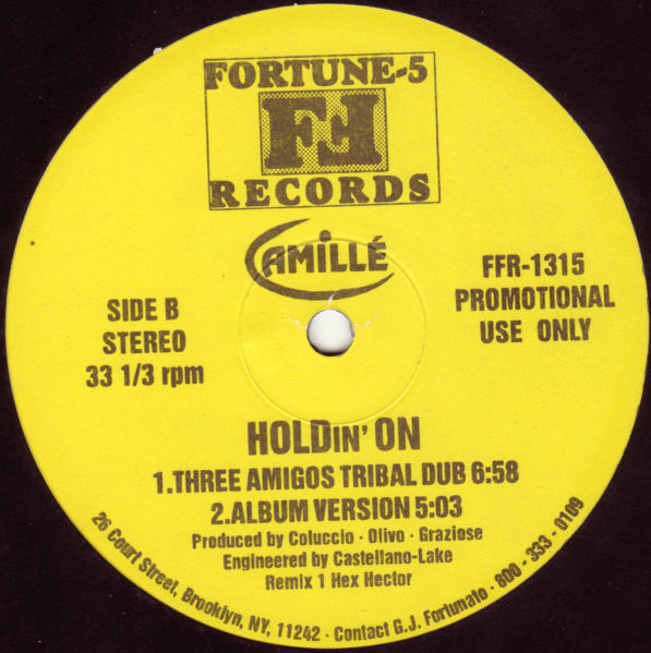 Camillé : Holdin' On (12", Maxi, Promo)