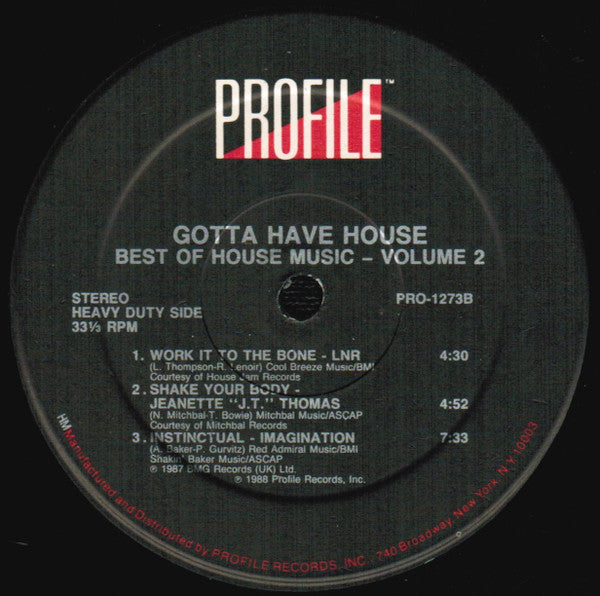Various : Best Of House Music Volume 2 - Gotta Have House (2xLP, Album, Comp, Hau)