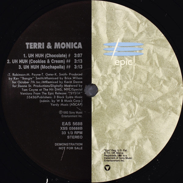 Terri & Monica : Intentions (12", Promo)