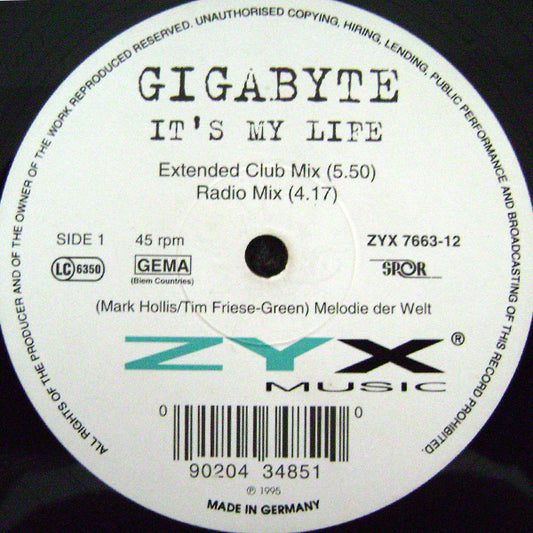 Gigabyte : It's My Life (12")