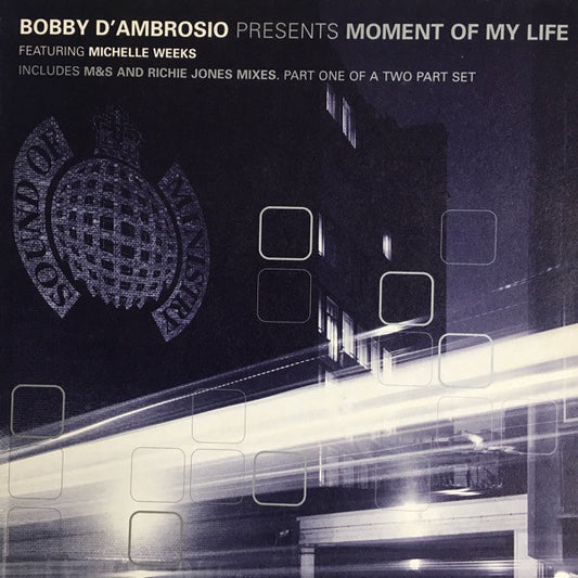 Bobby D'Ambrosio Featuring Michelle Weeks : Moment Of My Life (12", Par)