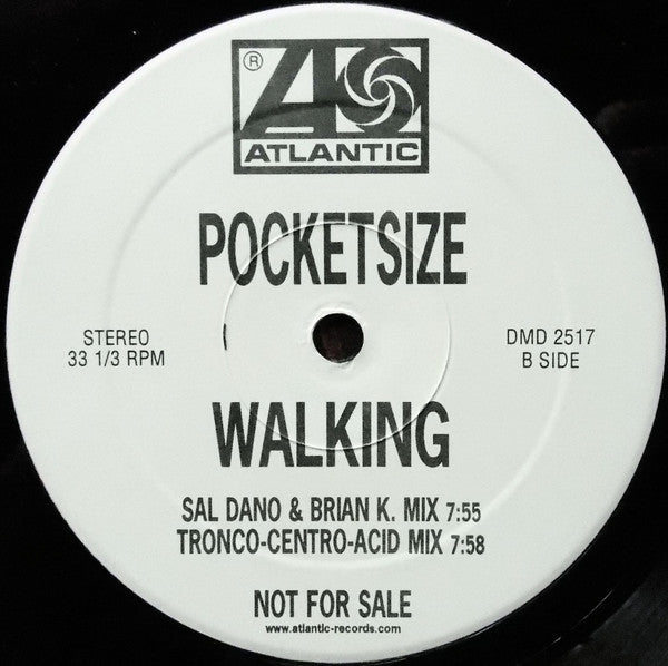 Pocket Size : Walking (2x12", Promo)