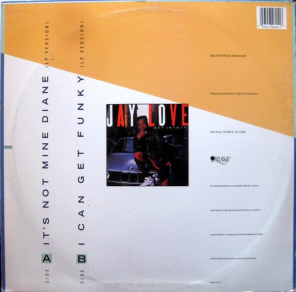 Jay Love : It's Not Mine Diane (12")