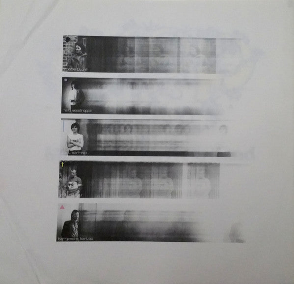 Robert Plant : The Principle Of Moments (LP, Album, SP )