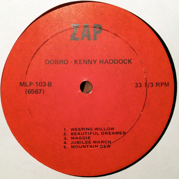Kenny Haddock, Billy Baker (7) : Dobro And Fiddle (LP, Album)