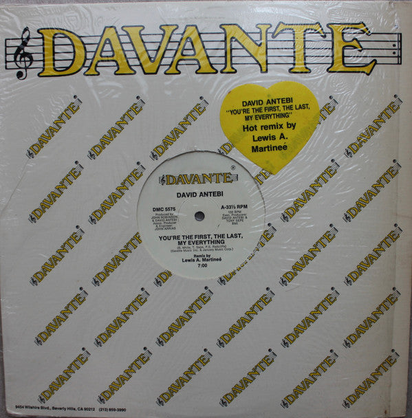 David Antebi : You're The First, The Last, My Everything (12")