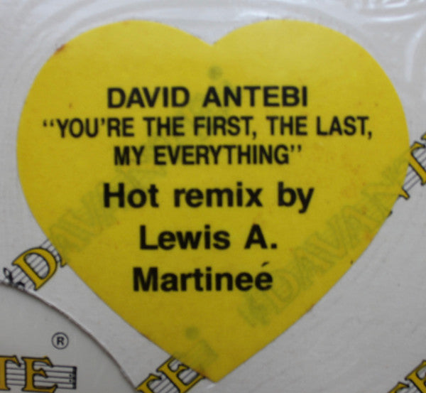 David Antebi : You're The First, The Last, My Everything (12")