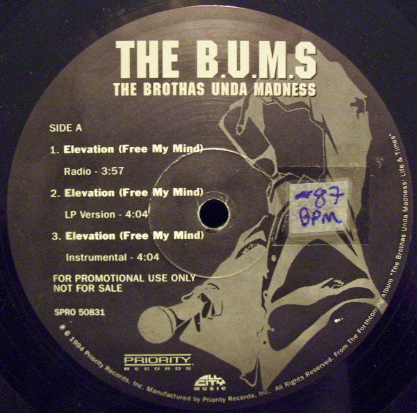 The B.U.M.S. (Brothas Unda Madness) : Elevation (Free My Mind) / 6 Figures And Up (12", Promo)