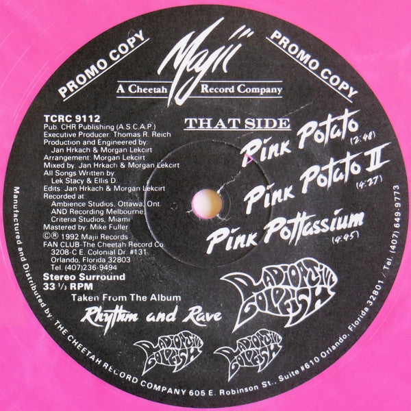 Radioactive Goldfish : Sonik Friktion / Pink Potato (12", Promo, Pin)