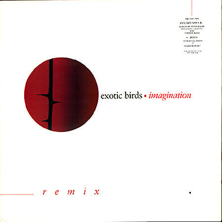 Exotic Birds : Imagination (12", Maxi, Promo)