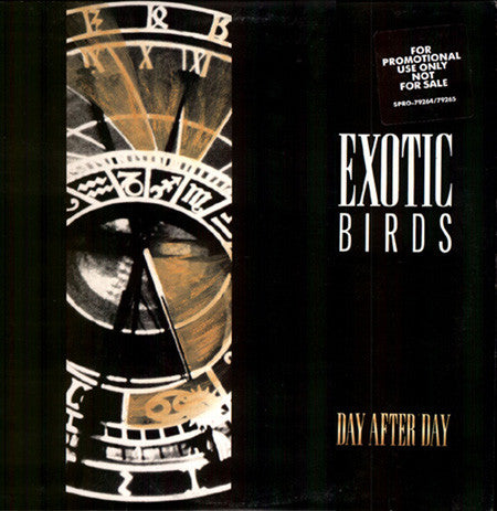 Exotic Birds : Day After Day (12", Maxi, Promo)