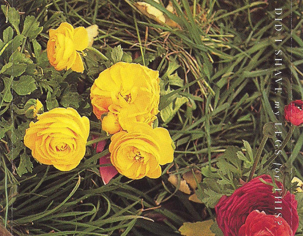 Deana Carter : Did I Shave My Legs For This? (HDCD, Album, Club)