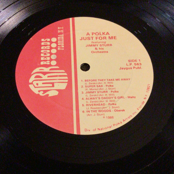 Jimmy Sturr And His Orchestra : Please Have Them Play A Polka Just For Me (LP, Album)